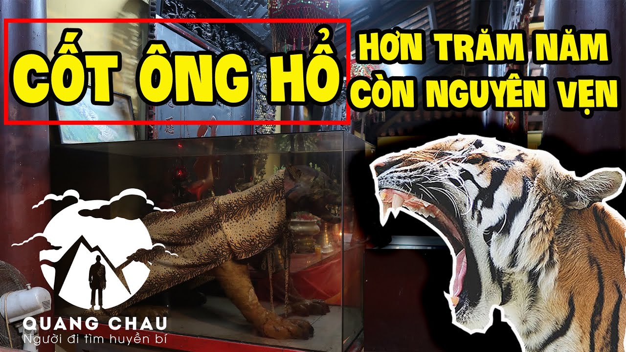 Giật mình khi phát hiện bộ cốt "Ông Cả Cọp" còn nguyên vẹn ở ngôi Đình Cổ Nhất miền tây