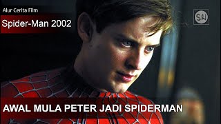 Download lagu The first Spiderman who is still legendary today. mp3