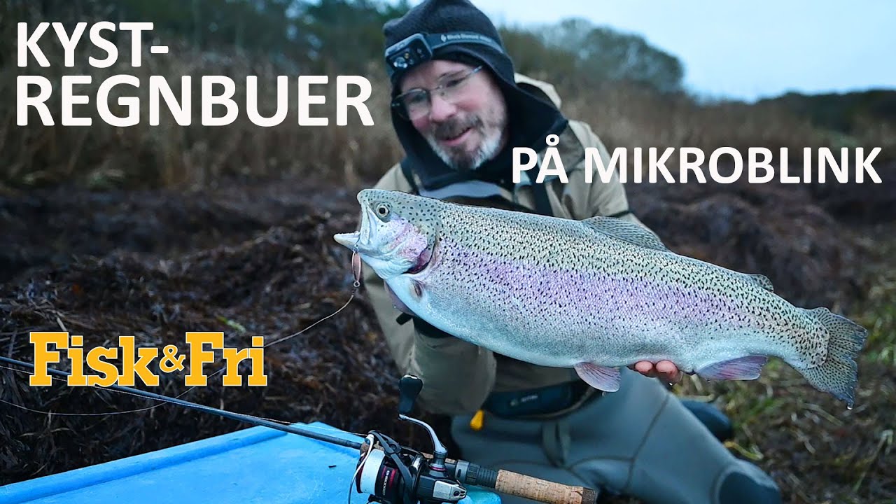 NY VIDEO: KYSTREGNBUER PÅ MIKROBLINK – SÅDAN GØR DU