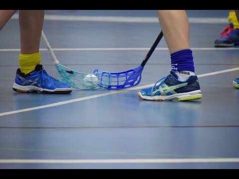 Nibacos 04 Edustus - Salba