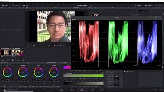 Understanding Scopes in Davinci Resolve 14