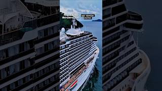 MSC SEAVIEW cruise  ship cruzeiro Santos  navio  Buzios  @cruzeiros2025 #cruise  insta360  #shorts