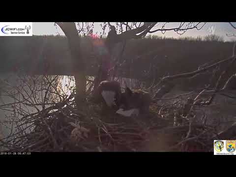 The Trio Eagles - The V's seize their chance - 01-28-18