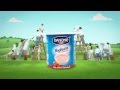 Danone Yoghurt HD