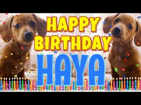 Happy Birthday Haya! ( Funny Talking Dogs ) What Is Free On My Birthday