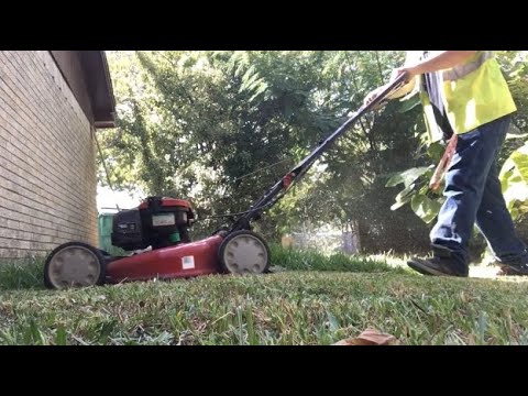 Troybilt TB200 is a beast of a push mower (Tall Grass mowing)