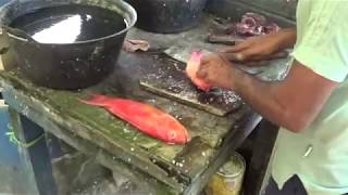 preview picture of video 'Preparing fish for grilling behind Lampuuk Beach near Banda Aceh, Indonesia'