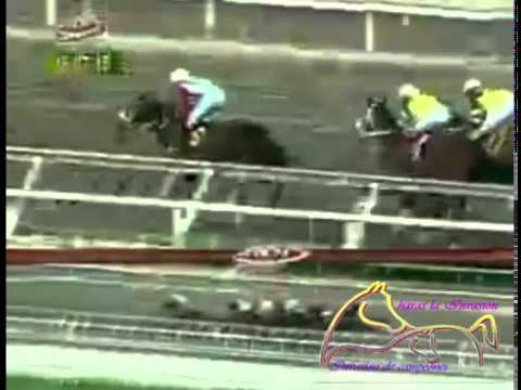 LA RINCONADA 8 CARRERA, DOMINGO 19 DE JULIO DEL 2015