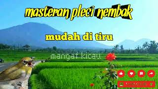 Download lagu masteran pleci nembak-mudah ditiru mp3