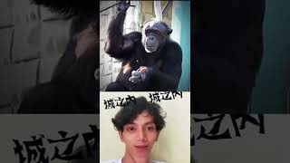 Download lagu kisah di tinggal kekasih 😲, asupan meme #respect #memes #lucu #ngakak #bombastic mp3 Download lagu kisah di tinggal kekasih 😲, asupan meme #respect #memes #lucu #ngakak #bombastic mp3