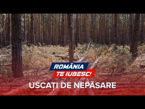 Uscați de nepăsare, un reportaj realizat de echipa România, te iubesc!