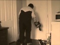 William Wegman Style Cat Film