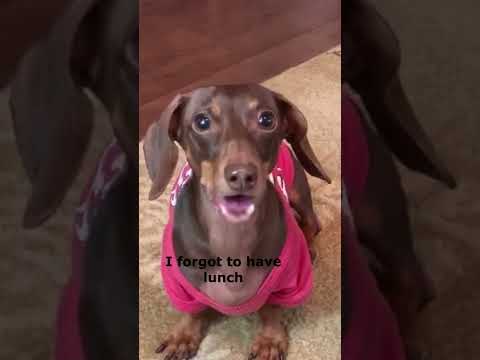 Moonpie Starbox Tik Toks compilation February 2020