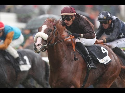 Hannover: Grosser Preis der Deutschen Bank AG (L) - Sieger: Ladykiller