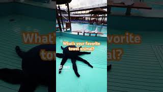 Cruise Shorts - The Towel Animals on the Lido Deck of Cruise Ship Carnival Vista