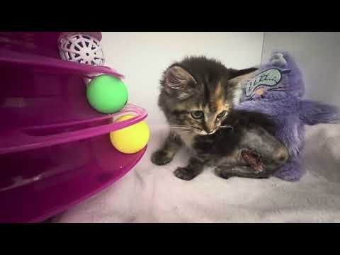 A Visit With Rosa Maria!