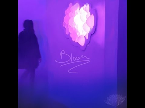 Seneca B x ADMB - Bloom [Full BeatTape]