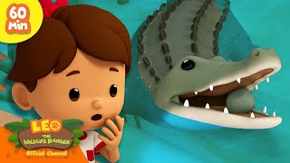 Download lagu RUN! THE CROCODILE IS COMING! | FEROCIOUS ANIMALS! | Leo the Wildlife Rangers | Kids Cartoon mp3