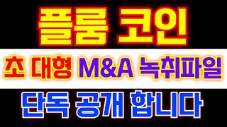 [플룸코인] 재단 내부관계자 M&A 녹취 자료 단독 공개 하겠습니다. 