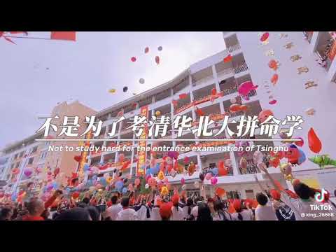 傲娇小丸子