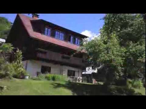 Dachgaupe Bau in 45 Sekunden