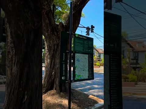 Es una mañana más que espectacular por la plaza Mitre de #avellaneda #walking #shorts #buenosaires
