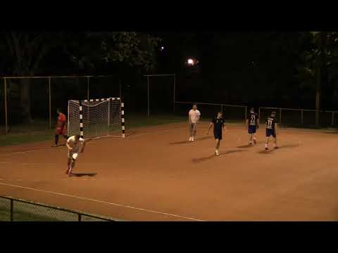 ĆELAVA FAMILIJA - 33 ( B ) 1:1