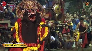 Download lagu KEMBANG IMPENAN (Jaranan) Cover Voc WULAN - SAMBOYO PUTRO Live MALANGSARI 2018 mp3