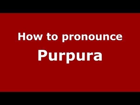 How to pronounce Purpura