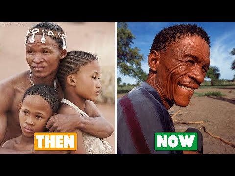 The Gods Must Be Crazy II (1989)  Cast ✦ The Transformation | Captivating Transition Over the Years