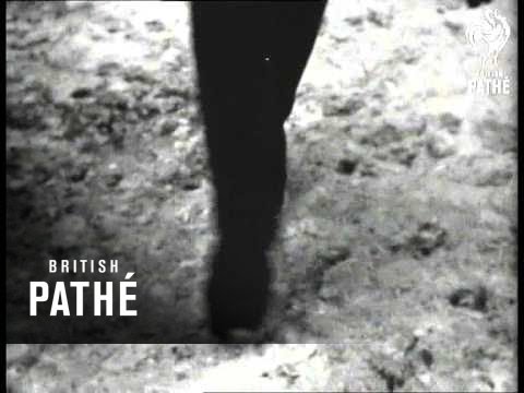 Rumanian Village New Year Customs (1966)