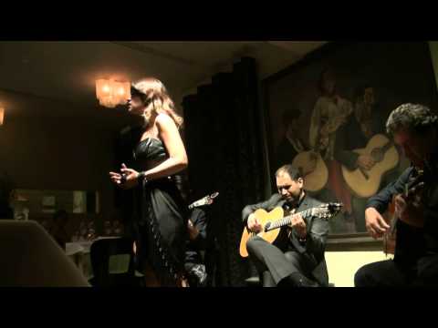 |Maldição|Joana Veiga|Adega Machado 2012 |