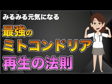 ミトコンドリア前夜について詳しく解説