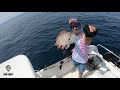 🚀Slow Pitch light JIGGING - Aligotes (🎣 & 🎵) #14 Best FISHING videos FUNNY