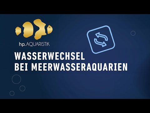 Wasserwechsel im Meerwasseraquarium