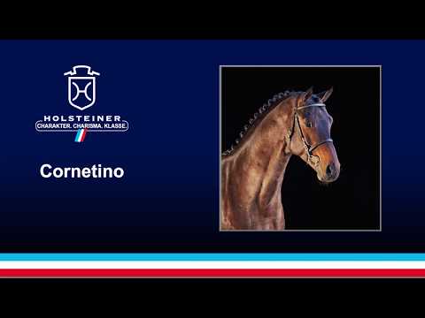 Cornetino v. Cornet Obolensky - C-Indoctro