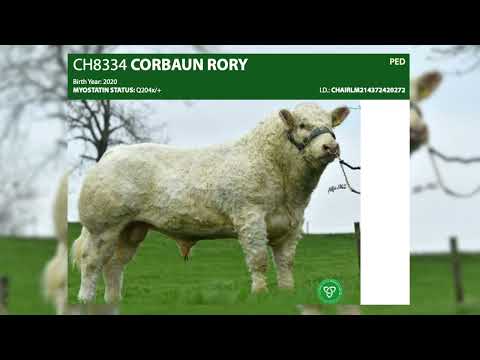 Episode 3 of our 2023 Beef Sire Series - Charolais