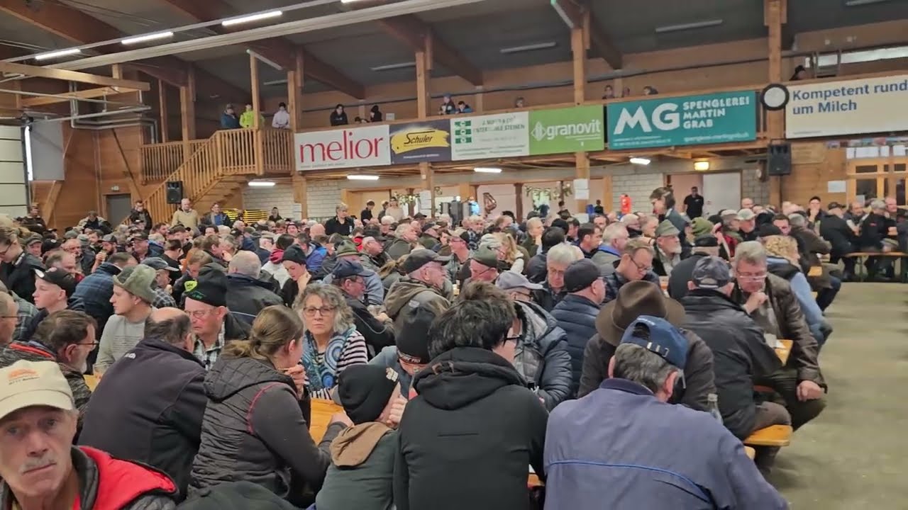 Erfolgreiche Jahresend-Auktion der Schwyzer Viehvermarktungs AG: 96 Prozent Verkaufsquote und hohe Erlöse