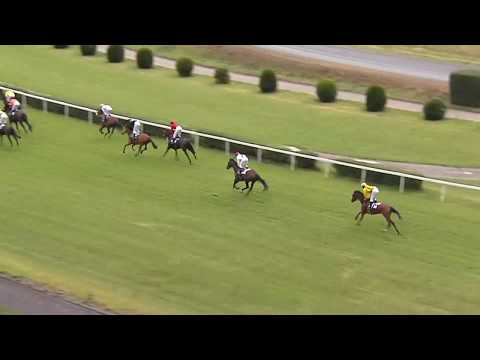 2. dostih - CENA SPOLEČNOSTI TOTO CZ, a.s. - dostihy Velká Chuchle 12. 7. 2019