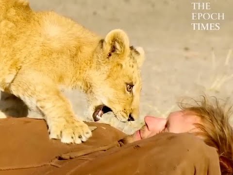 The Heartwarming Journey of a Man and an Abandoned Lion Cub