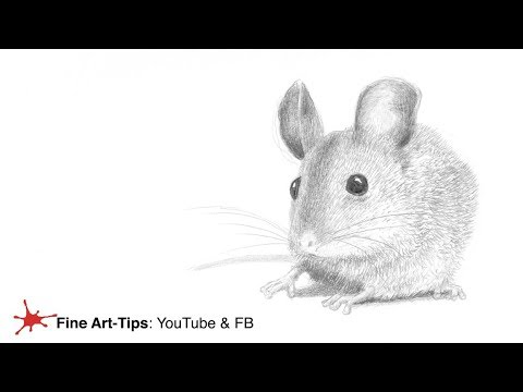 HOW TO DRAW A MOUSE - Easy and realistic - Narrated