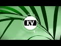 KV - Leaf (Official Audio) | Upbeat Chill House