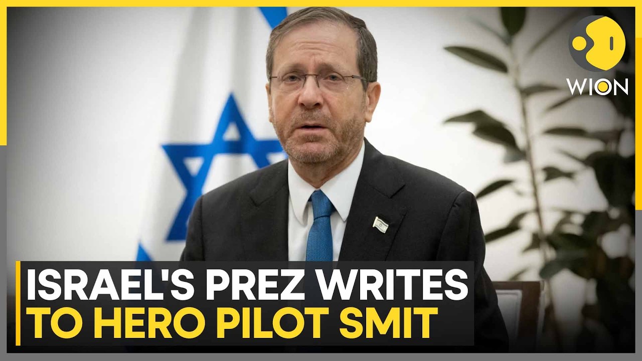 FlyDubai Incident: Israel Plans Prestigious Civilian Heroism Award for Hero Pilot | WION News