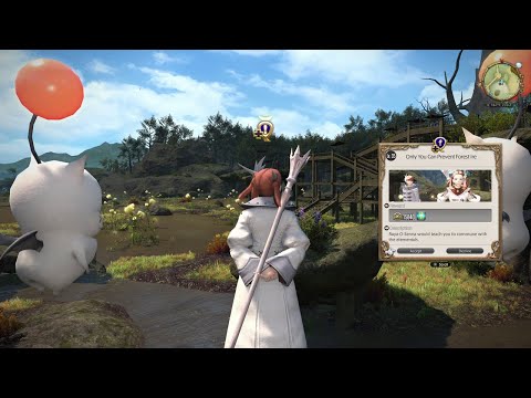 FFXIV White Mage Job Quest: Only You Can Prevent Forest Ire