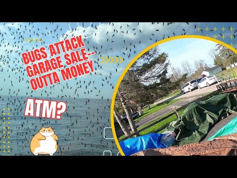 Bugs Invade Garage Sale: When Sales Go WRONG