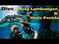 Dive in Nusa Lembongan / Nusa Penida in 2022, Dive Nusa Lembogan & Penida, Nusa Lembongan, Indonesien, Bali