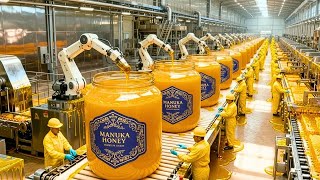 How Manuka Honey Is Harvested and Processed | Inside a Specialized Honey Factory