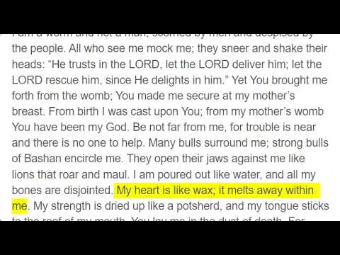 Day 199, Psalm 20 - 22; Acts 21:1 - 17