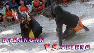 Download lagu Barongan VS Celeng Ebeg Banyumasan Kusuma sari live Gandrungmanis Gandrungmangu Cilacap mp3