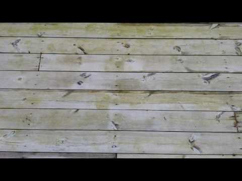 Sioo Träskydd och Ytskydd: Resultatet efter 9 månader (2017-03-05)